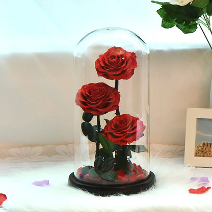 Preserved Rose Beauty and The Beast Flowers In A Glass Dome