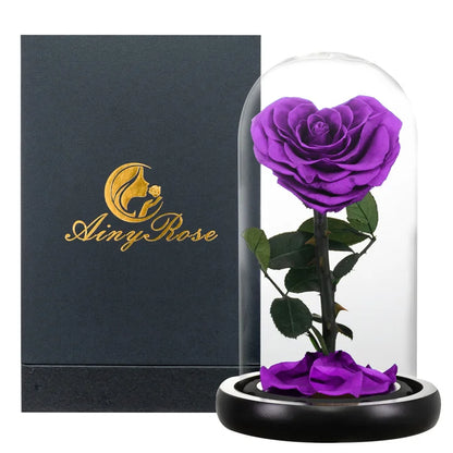 Preserved Rose Beauty and The Beast Flowers In A Glass Dome