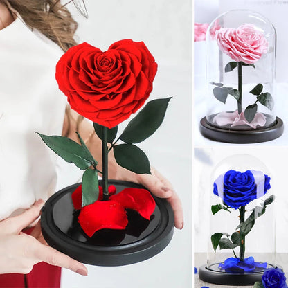 Heart Shaped Preserved Beauty and The Beast Eternal Rose In Glass Dome