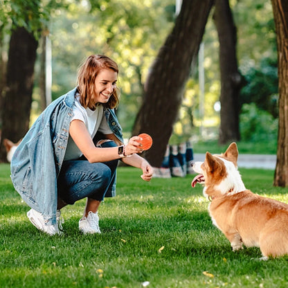 Pet Dog Bouncy Rubber Solid Ball Toys