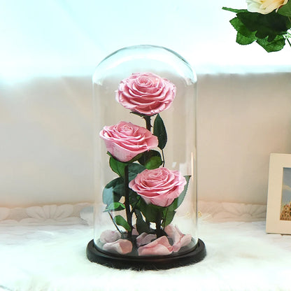 Preserved Rose Beauty and The Beast Flowers In A Glass Dome