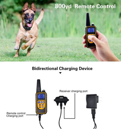 800yd Pet Dog Electric Training Collar Rechargeable LCD Display