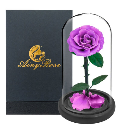 Preserved Rose Beauty and The Beast Flowers In A Glass Dome