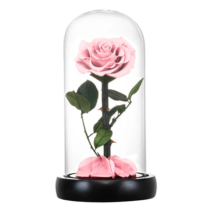 Preserved Rose Beauty and The Beast Flowers In A Glass Dome