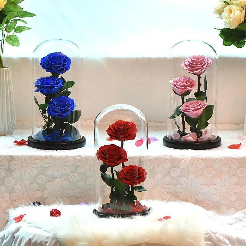 Preserved Rose Beauty and The Beast Flowers In A Glass Dome