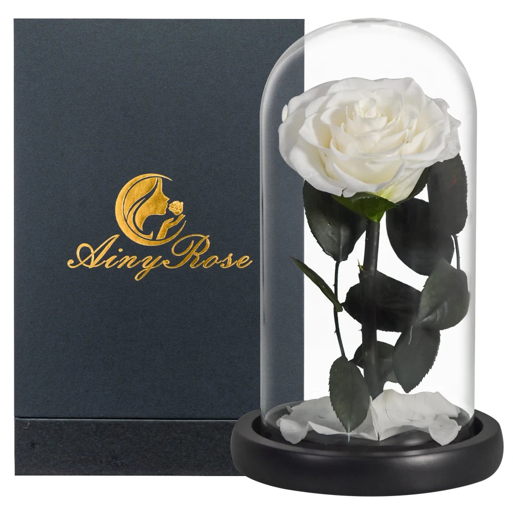 Preserved Rose Beauty and The Beast Flowers In A Glass Dome