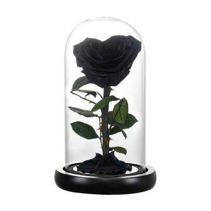 Heart Shaped Preserved Beauty and The Beast Eternal Rose In Glass Dome