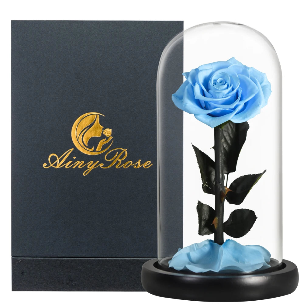 Preserved Rose Beauty and The Beast Flowers In A Glass Dome