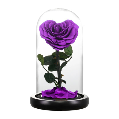 Heart Shaped Preserved Beauty and The Beast Eternal Rose In Glass Dome