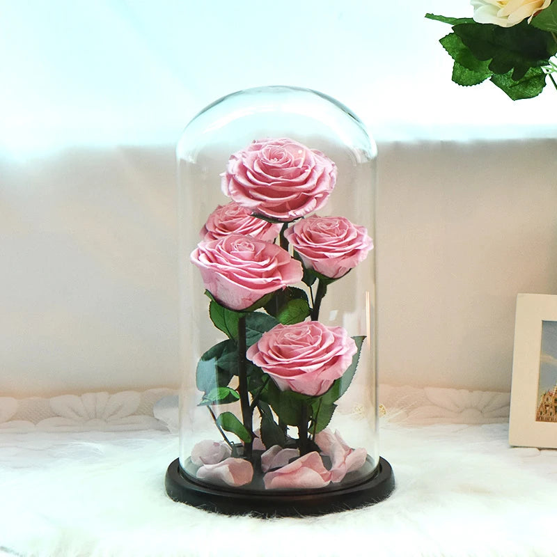 Preserved Rose Beauty and The Beast Flowers In A Glass Dome