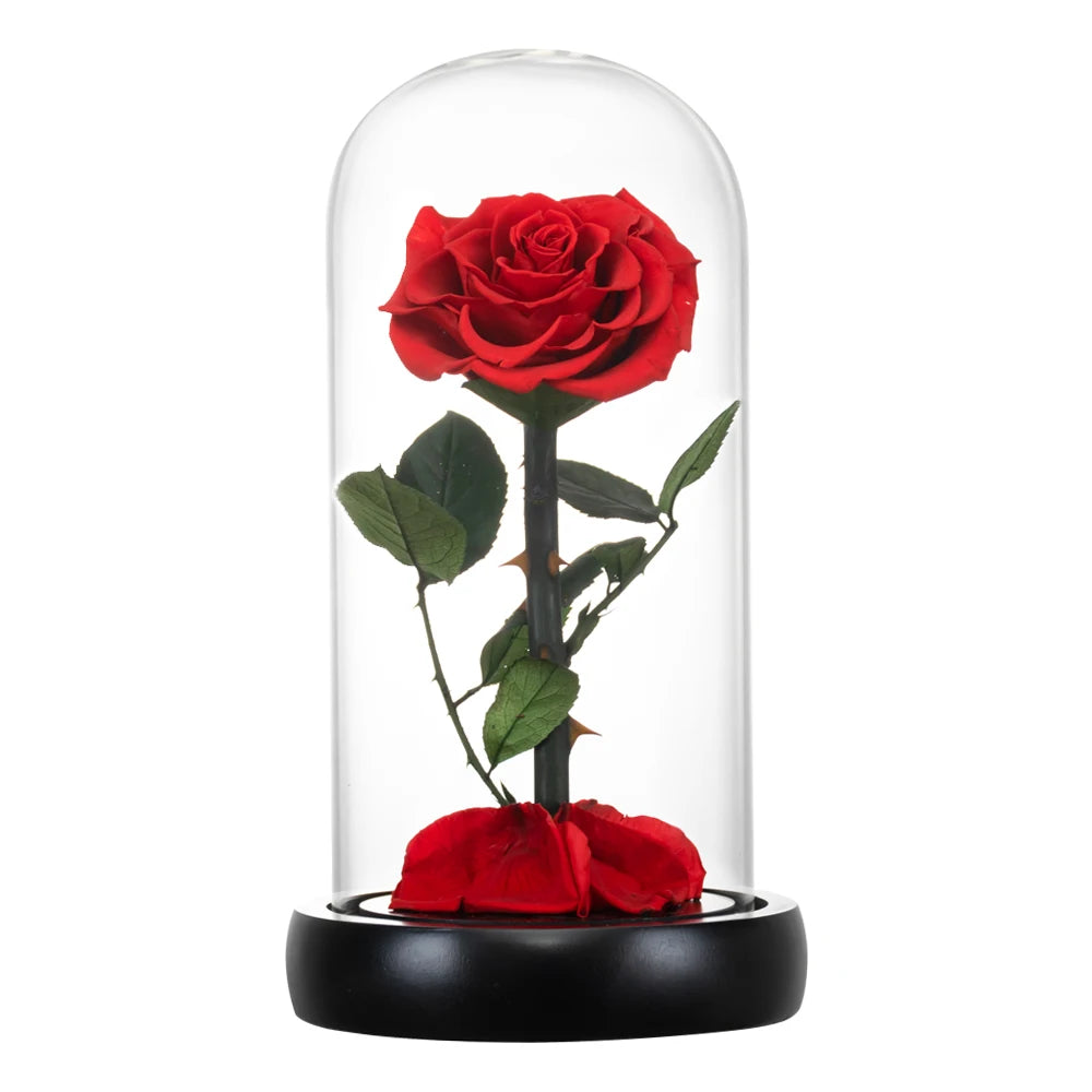 Preserved Rose Beauty and The Beast Flowers In A Glass Dome