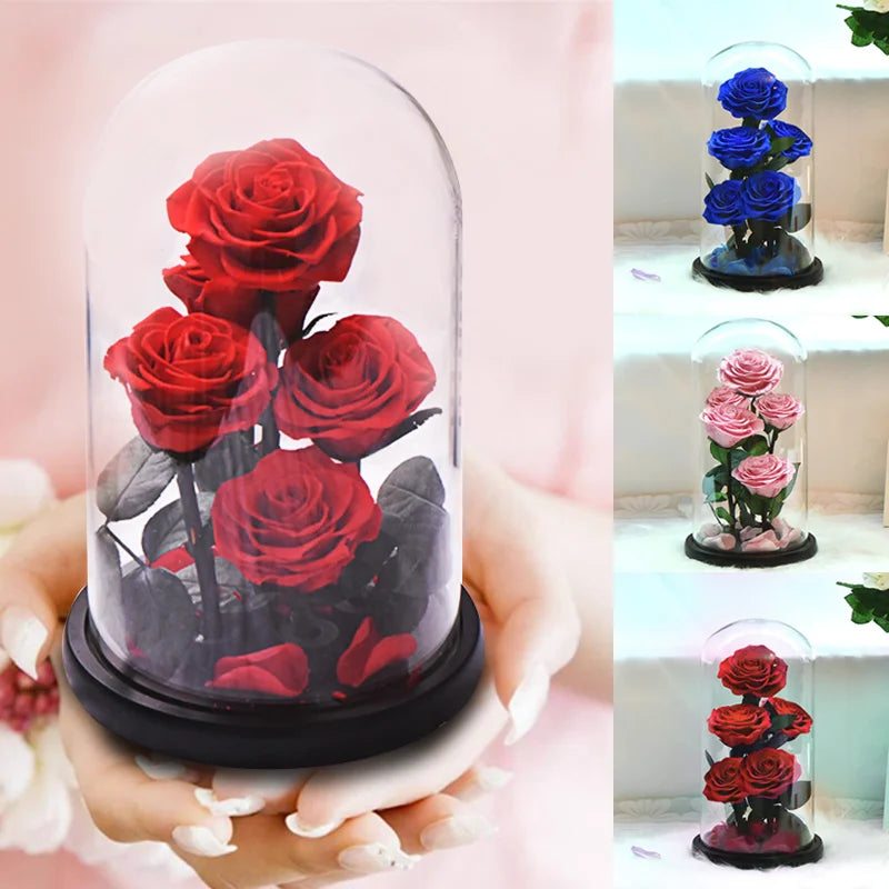 Preserved Rose Beauty and The Beast Flowers In A Glass Dome