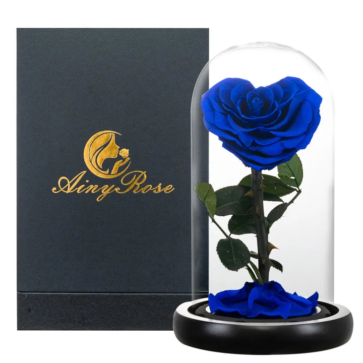 Heart Shaped Preserved Beauty and The Beast Eternal Rose In Glass Dome