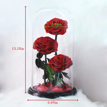 Preserved Rose Beauty and The Beast Flowers In A Glass Dome