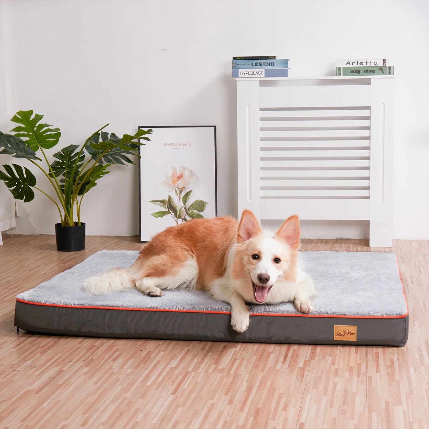 M-3XL Orthopedic Memory Foam Waterproof Pet Dog Bed Mattress with Removable Washable Cover