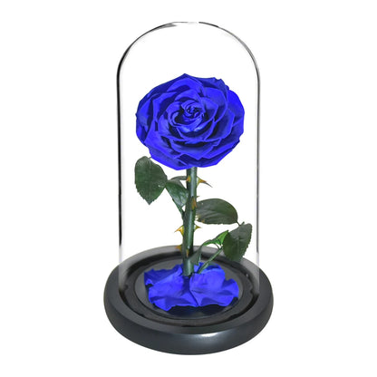 Preserved Rose Beauty and The Beast Flowers In A Glass Dome