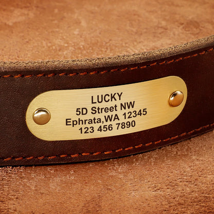 Personalized Leather Dog Collar and Leash Set