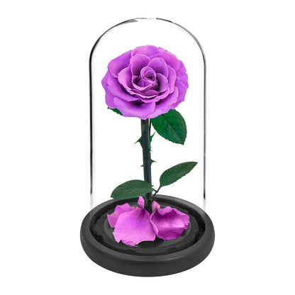 Preserved Rose Beauty and The Beast Flowers In A Glass Dome