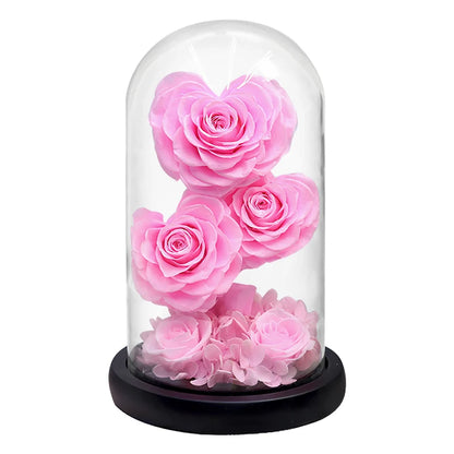 Heart Shaped Preserved Beauty and The Beast Eternal Rose In Glass Dome