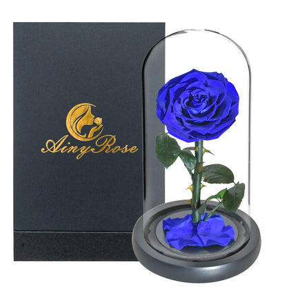 Preserved Rose Beauty and The Beast Flowers In A Glass Dome