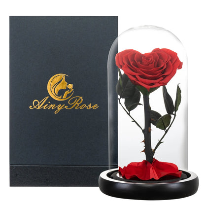 Preserved Rose Beauty and The Beast Flowers In A Glass Dome