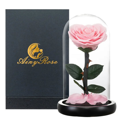 Heart Shaped Preserved Beauty and The Beast Eternal Rose In Glass Dome