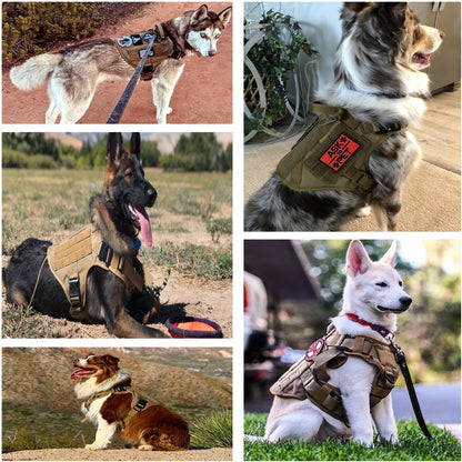 M-XL Pet Dog Tactical Harness Vest Collar And Leash Set