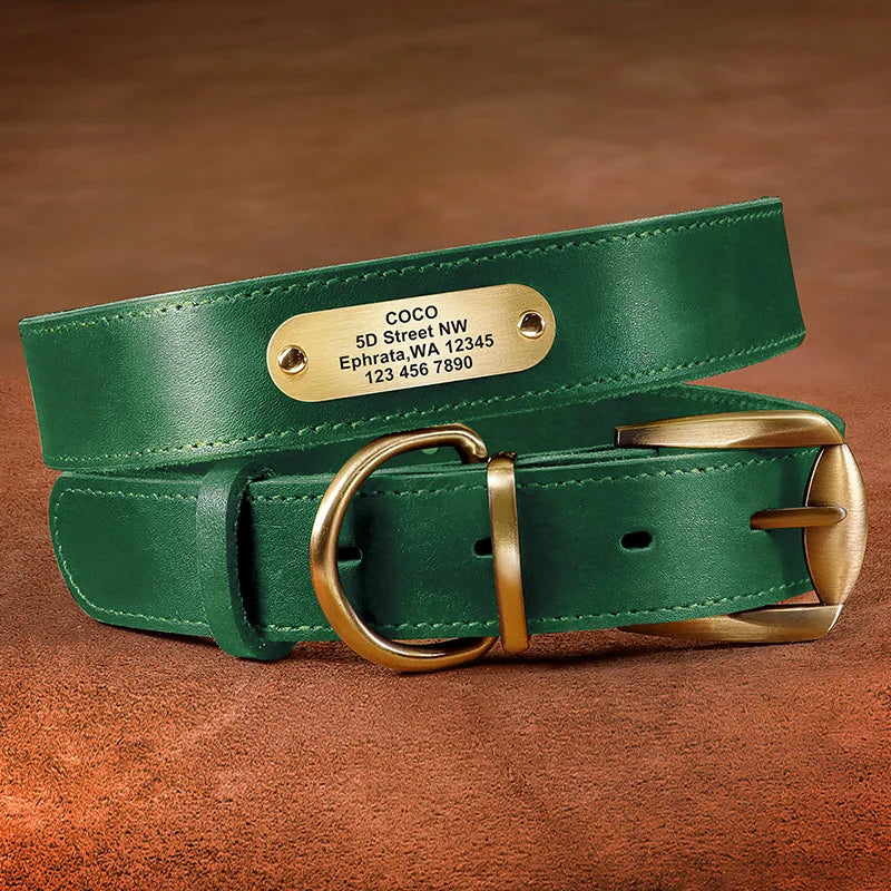 Personalized Leather Dog Collar and Leash Set