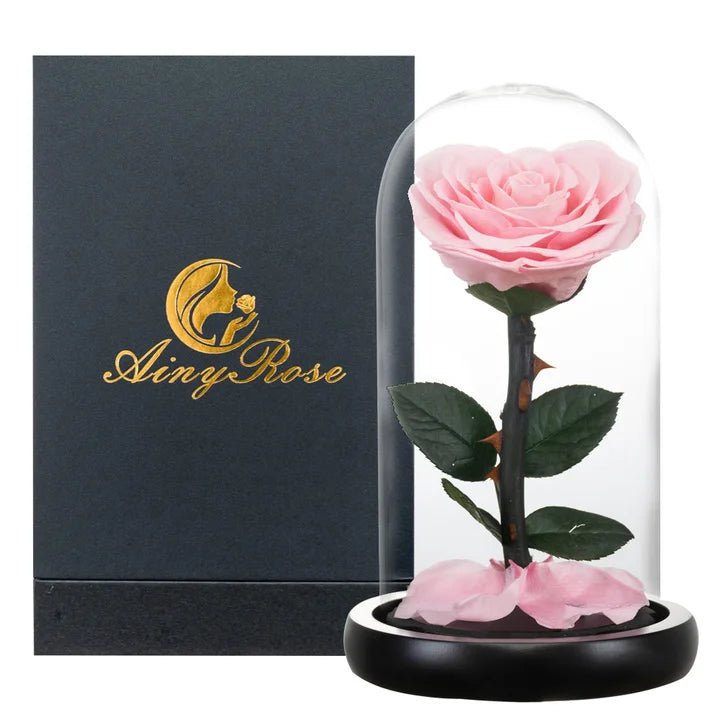 Preserved Rose Beauty and The Beast Flowers In A Glass Dome