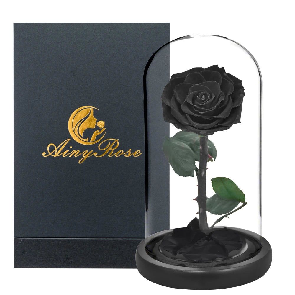 Preserved Rose Beauty and The Beast Flowers In A Glass Dome