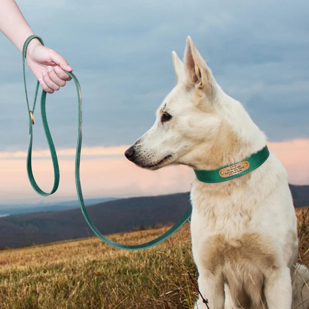 Personalized Leather Dog Collar and Leash Set