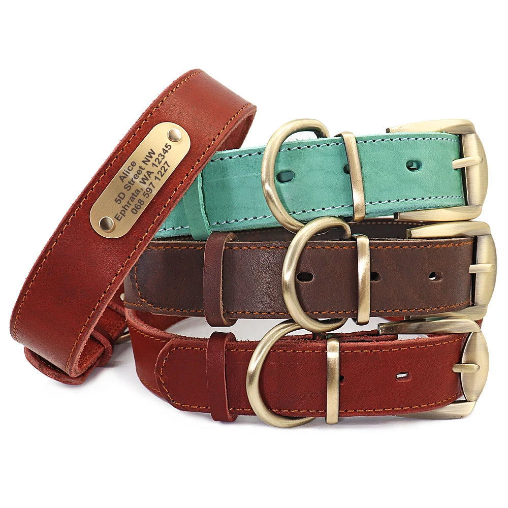 Personalized Leather Dog Collar and Leash Set