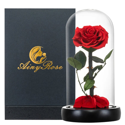 Preserved Rose Beauty and The Beast Flowers In A Glass Dome