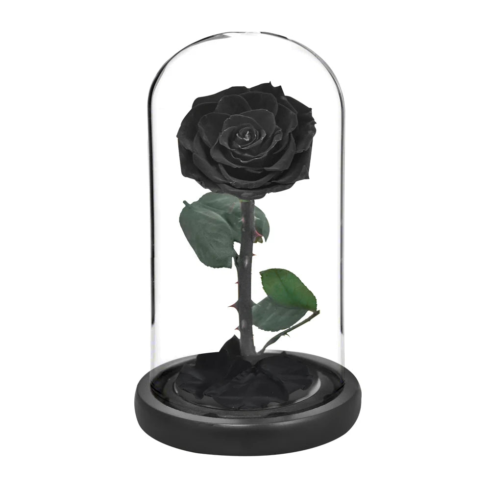 Preserved Rose Beauty and The Beast Flowers In A Glass Dome