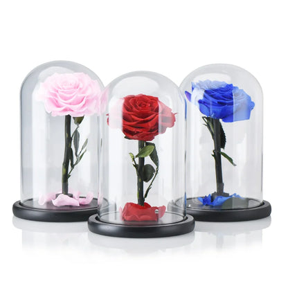 Preserved Rose Beauty and The Beast Flowers In A Glass Dome