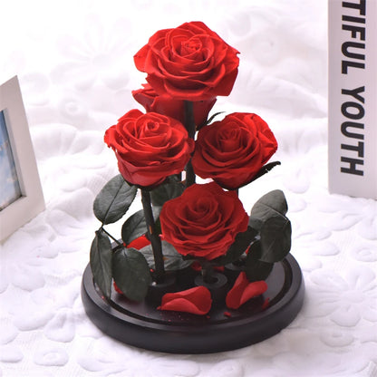 Preserved Rose Beauty and The Beast Flowers In A Glass Dome