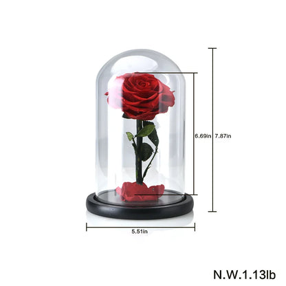 Preserved Rose Beauty and The Beast Flowers In A Glass Dome