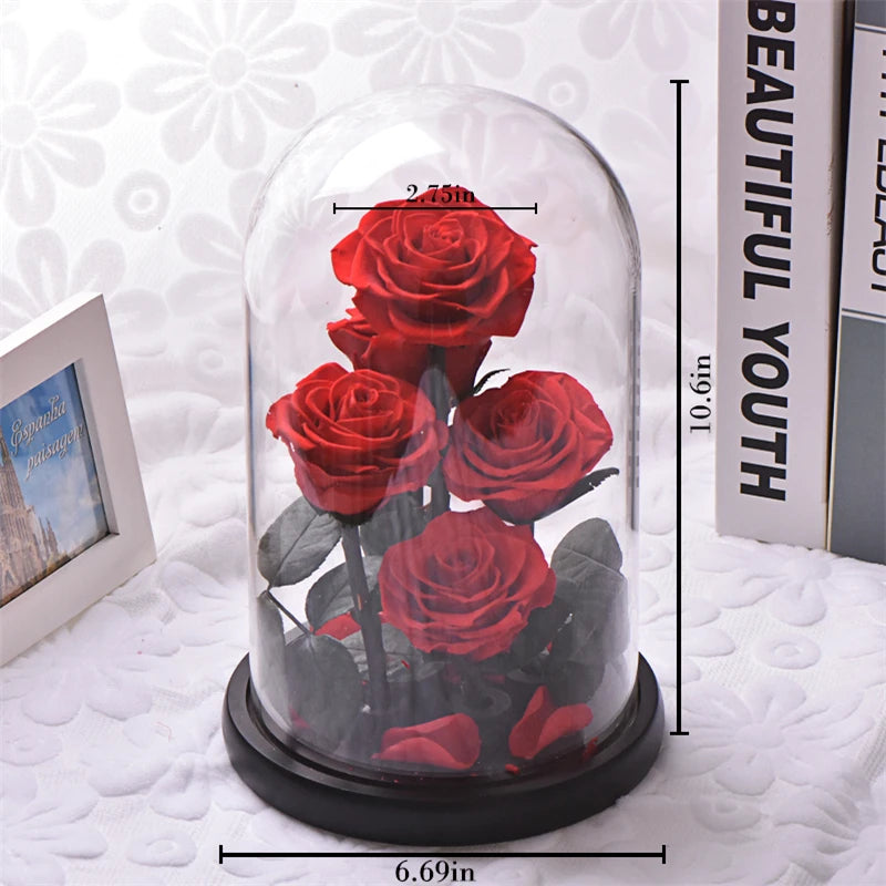 Preserved Rose Beauty and The Beast Flowers In A Glass Dome