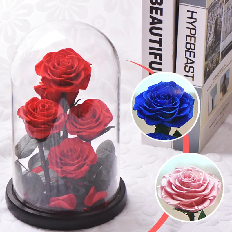 Preserved Rose Beauty and The Beast Flowers In A Glass Dome