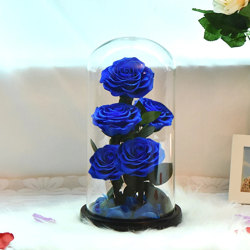 Preserved Rose Beauty and The Beast Flowers In A Glass Dome