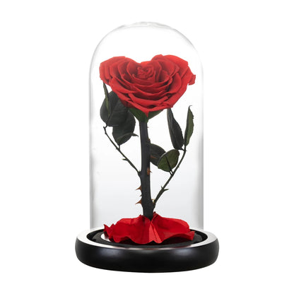 Heart Shaped Preserved Beauty and The Beast Eternal Rose In Glass Dome