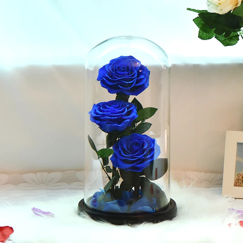 Preserved Rose Beauty and The Beast Flowers In A Glass Dome