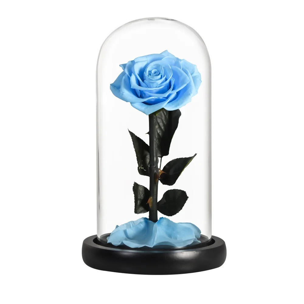 Preserved Rose Beauty and The Beast Flowers In A Glass Dome