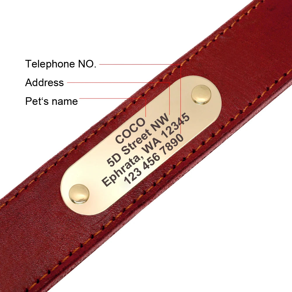 Personalized Leather Dog Collar and Leash Set