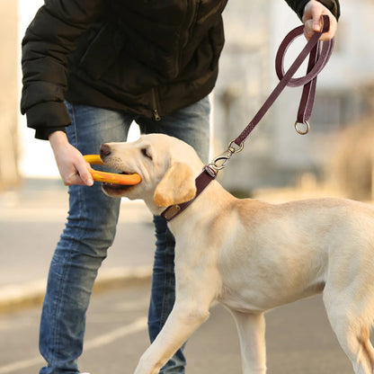 Personalized Leather Dog Collar and Leash Set