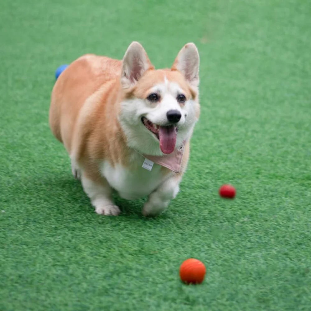 Pet Dog Bouncy Rubber Solid Ball Toys