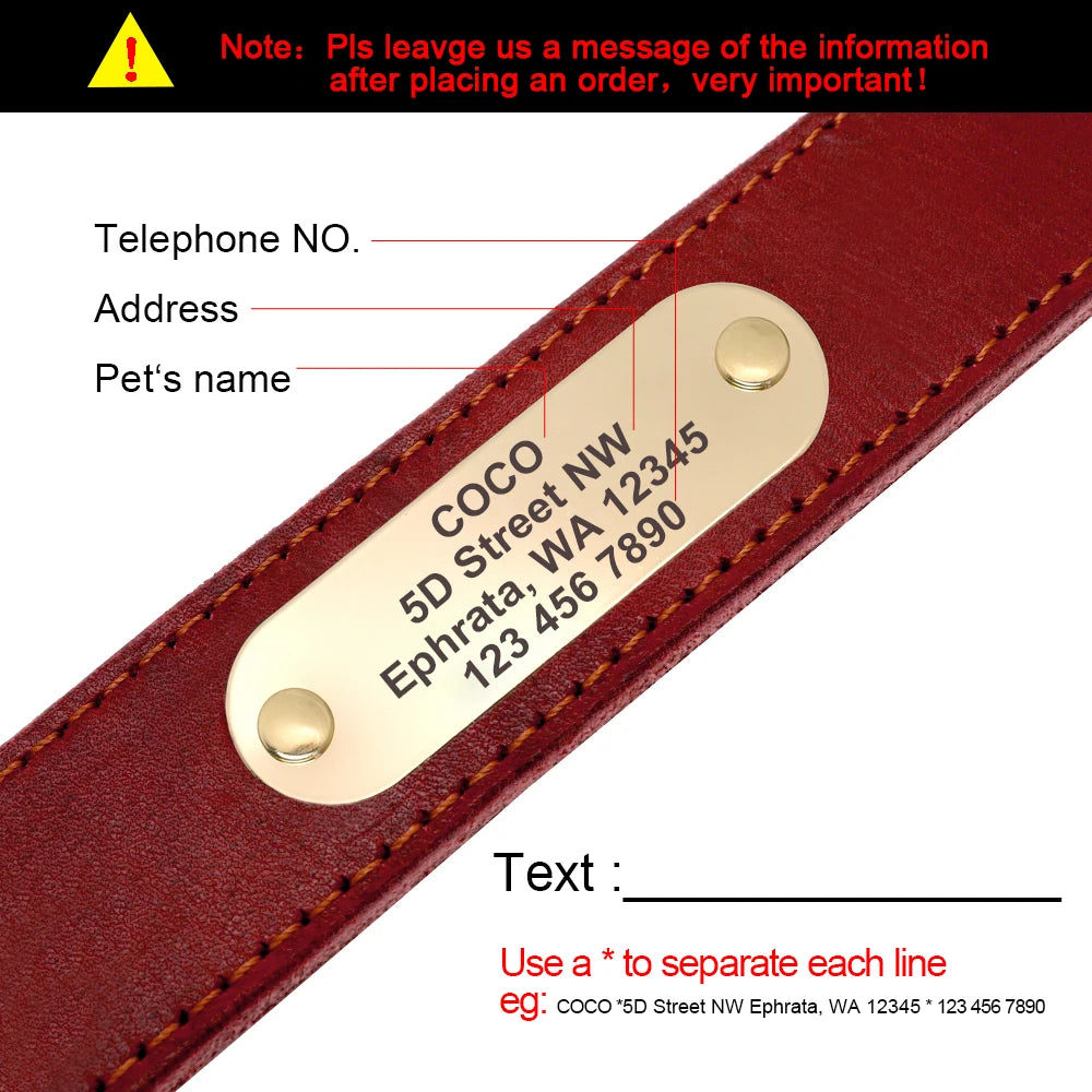 Personalized Leather Dog Collar and Leash Set