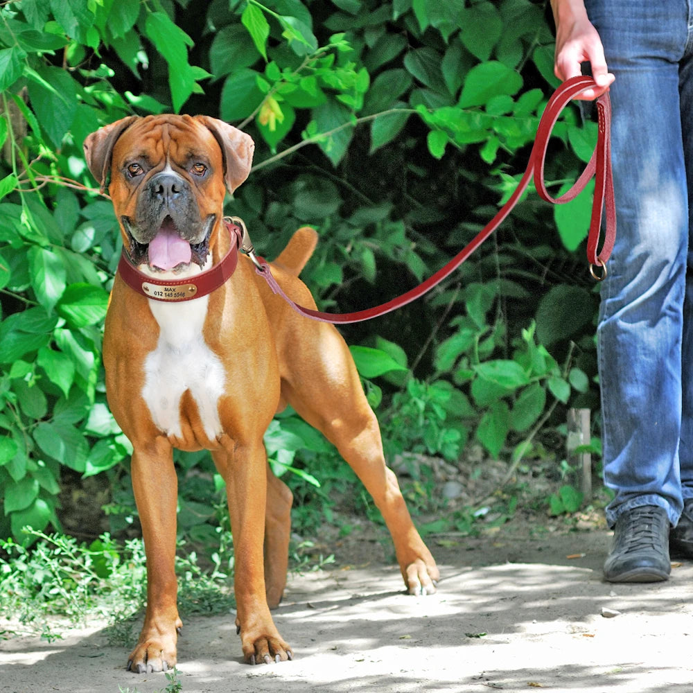 Personalized Leather Dog Collar and Leash Set