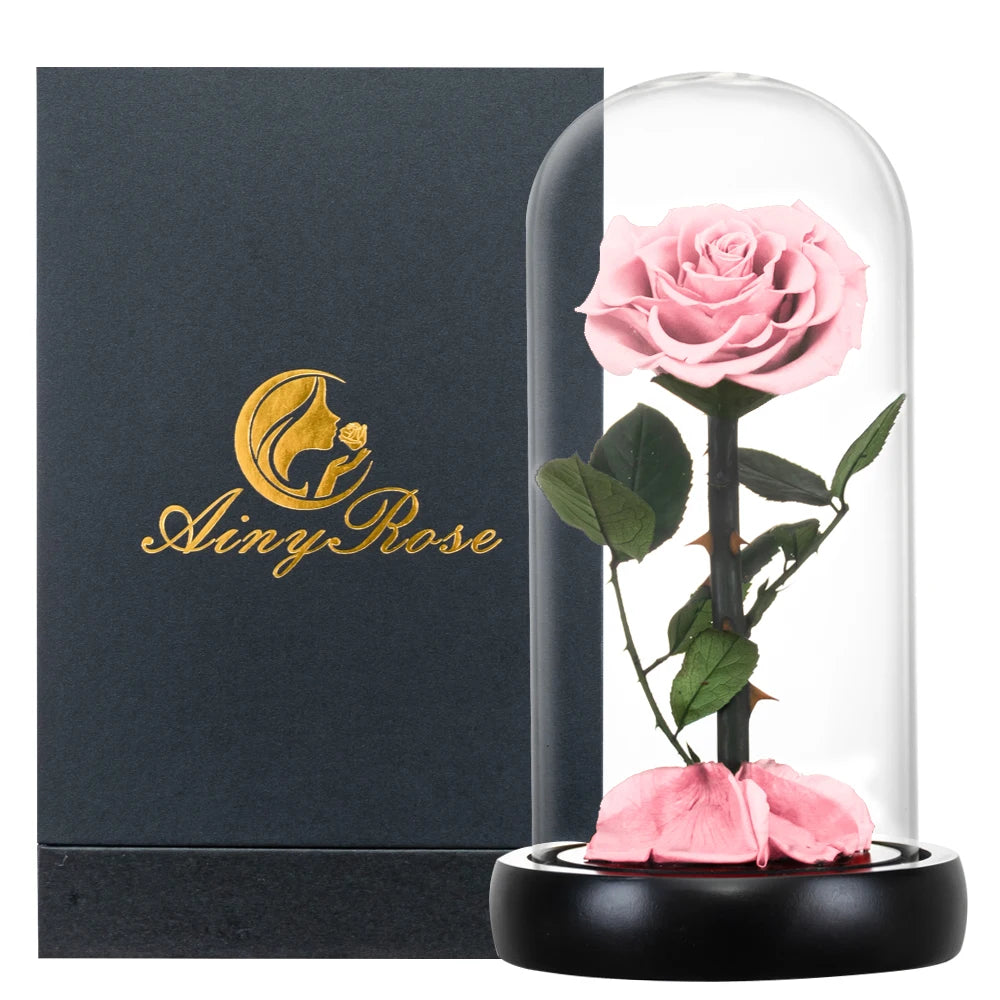 Preserved Rose Beauty and The Beast Flowers In A Glass Dome