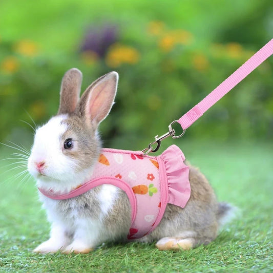 Adjustable Buckle Breathable Mesh Rabbit Small Animal Harness with Leash